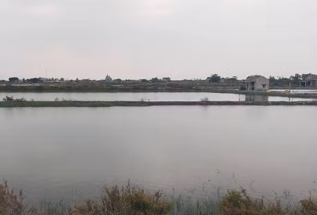 Khởi tố vụ án hình sự liên quan đến thu hồi đất, giải phóng mặt bằng khu vực Cồn Xanh