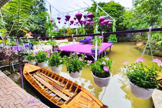 Cần Thơ - điểm du lịch Tết đậm chất miền Tây Nam Bộ