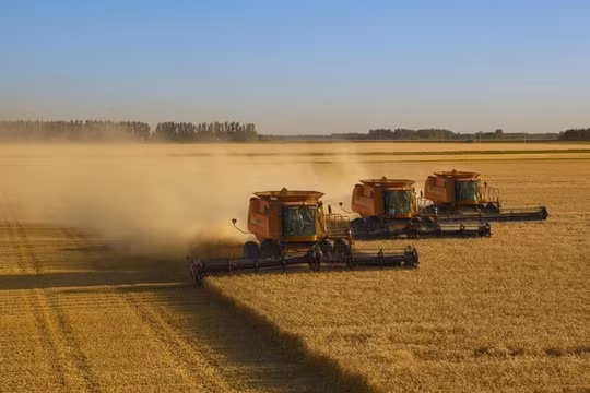 EU gia hạn miễn thuế cho ngũ cốc Ukraine