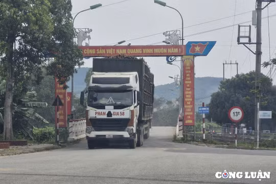 Nghịch lý cầu 13 tấn 'oằn mình' gánh xe chở gỗ keo hàng chục tấn ở Hà Tĩnh