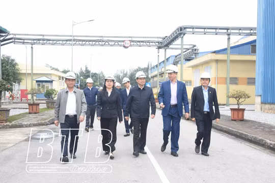 Thái Bình: Tăng cường công tác an toàn vệ sinh lao động tại các doanh nghiệp