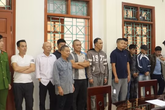 Nghệ An: Đột kích sới bạc khủng trong rừng, bắt hàng chục đối tượng