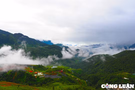 Du khách thích thú săn mây trên đèo Ô Quy Hồ