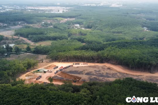 Bình Phước: Chính quyền, Công an vào cuộc vụ khai thác đất lậu ở TP Đồng Xoài