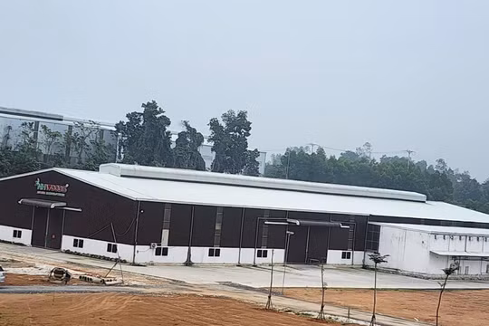 Nghệ An: Chính quyền buông lỏng quản lý để vi phạm xây dựng của Công ty Nhật Huy không được ngăn chặn?