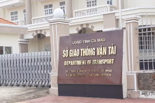 Phó Chánh thanh tra Sở Giao thông vận tải tỉnh Cà Mau bị buộc thôi việc vì dùng bằng không hợp pháp