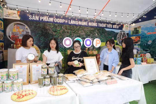 Ninh Bình: Trưng bày các sản phẩm OCOP và làng nghề nông thôn tiêu biểu
