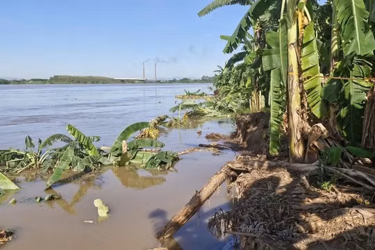 Hưng Yên: Chủ động ứng phó với mưa lớn, sẵn sàng phương án phòng, chống lũ và bảo đảm an toàn đê điều