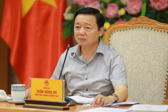Dự án thành phần 4 sân bay Long Thành: Áp dụng cơ chế, chính sách của 3 luật trong thực hiện các gói thầu
