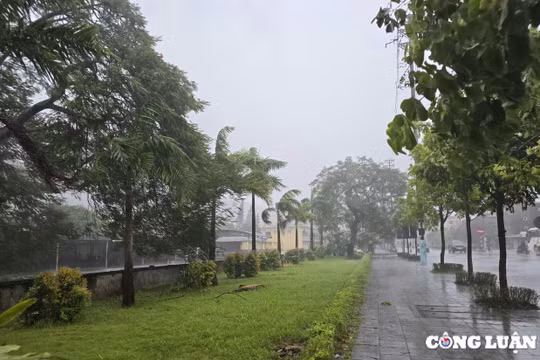 Bão số 3: Quảng Ninh di dời hơn 2 nghìn hộ dân, huyện đảo Cô Tô ban hành lệnh giới nghiêm
