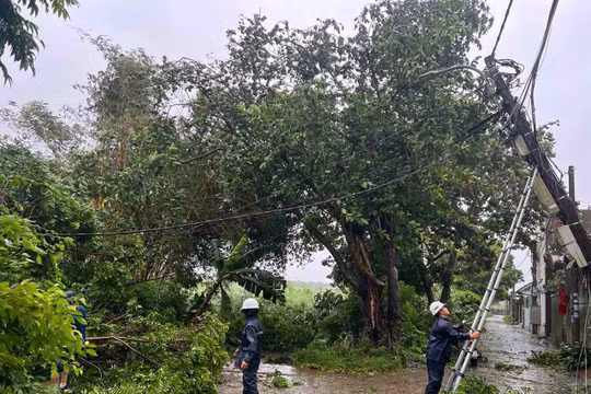 Bộ Công Thương yêu cầu khắc phục nhanh thiệt hại do bão số 3 để sớm cung cấp điện trở lại