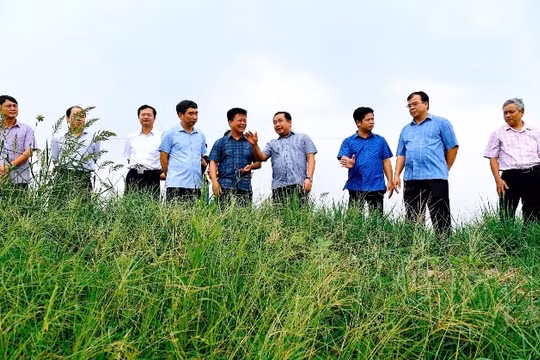 Hải Dương: Ứng phó với bão số 3 ở mức cao nhất