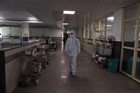 Ít nhất 16 người tử vong vì virus Chandipura hiếm gặp ở Ấn Độ
