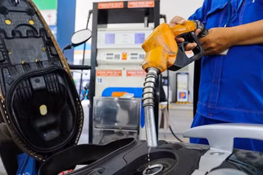 Giá xăng giảm nhẹ, giá dầu tăng mạnh trước Tết Nguyên đán