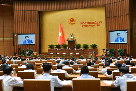 Nên cho phép thực hiện sớm việc mua bán, chuyển nhượng vật chứng, tài sản đã kê biên, phong tỏa