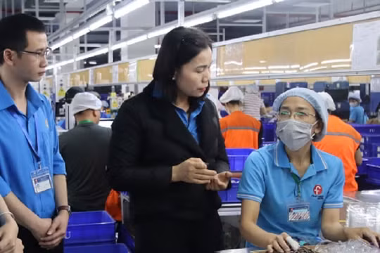 Thái Bình: Tạo việc làm cho 15.400 lao động trong 5 tháng đầu năm 2024