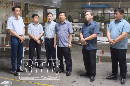 Thái Bình: Khẩn trương khắc phục hậu quả bão lũ, sớm ổn định sản xuất kinh doanh