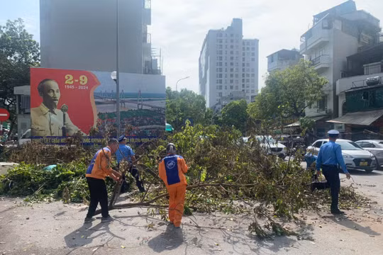 Hà Nội: Tập trung xử lý cây xanh gãy đổ, bảo đảm an toàn giao thông