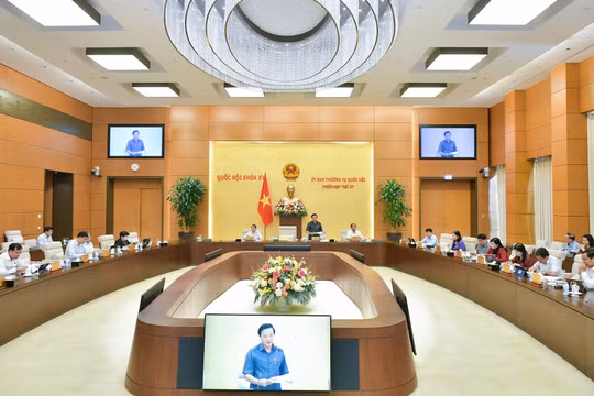 Tội phạm có tổ chức, trên không gian mạng, tội phạm ma túy tăng mạnh