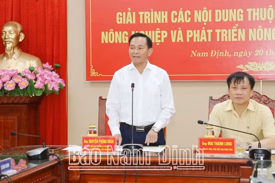 Thường trực HĐND tỉnh Nam Định tổ chức phiên giải trình các nội dung quan trọng
