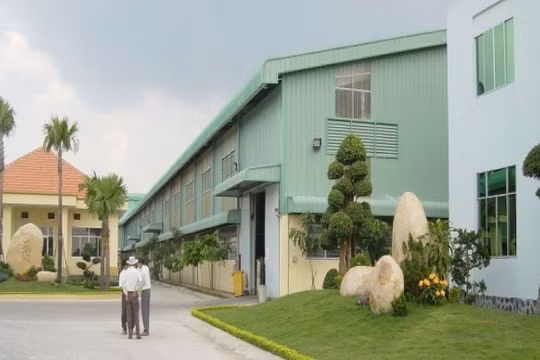 Cổ phiếu Nhựa Tân Đại Hưng (TPC) bị giữ nguyên diện cảnh báo dù đã có lãi trở lại