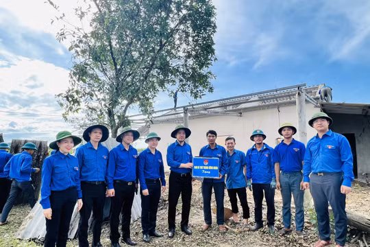 Tuổi trẻ Hà Tĩnh góp phần đẩy nhanh tiến độ công trình đường dây 500kV mạch 3
