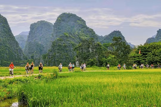 Truyền thông quốc tế nêu 4 trải nghiệm thú vị nhất định phải thử khi du lịch Việt Nam