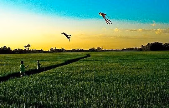 Một bài thơ góp sức 'giải mã' một câu hỏi thường nhật