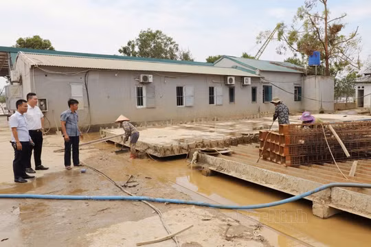 Bắc Ninh: Tuyên truyền rộng rãi chính sách ưu đãi thuế đến người dân, doanh nghiệp bị thiệt hại do bão số 3