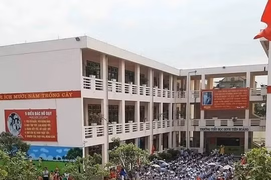 Ninh Bình: Tạm thời đình chỉ công tác nữ giáo viên tiểu học có lời lẽ thiếu chuẩn mực với học sinh
