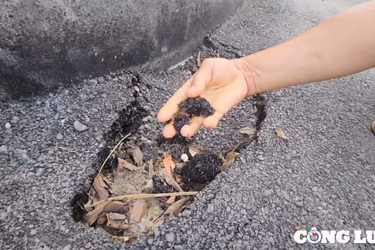 Hưng Yên: Công ty Tài Hoa và những gói trúng thầu có tỉ lệ “siêu tiết kiệm”?