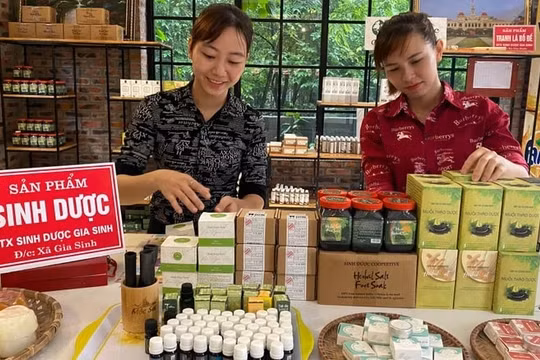 Ninh Bình: Thúc đẩy phát triển mô hình hợp tác gắn với chuỗi giá trị