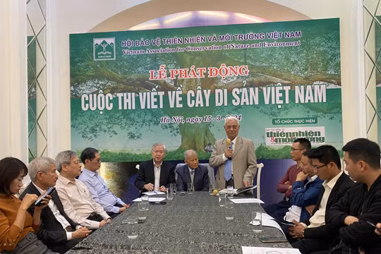 Phát động cuộc thi viết về Cây Di sản Việt Nam
