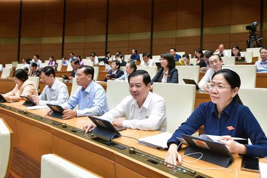 Tổ chức hành nghề công chứng phải bồi thường thiệt hại do lỗi của công chứng viên, nhân viên của mình gây ra