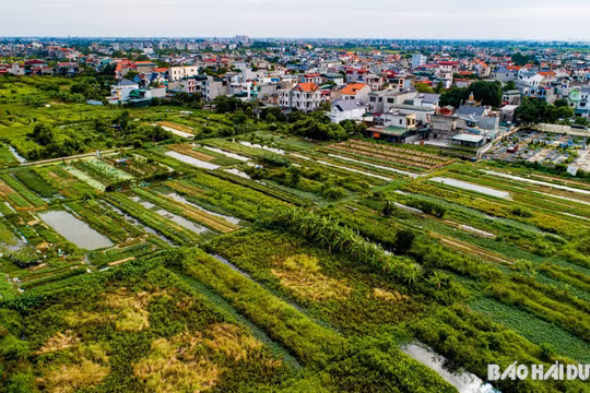 Hải Dương là điểm sáng trong xây dựng các văn bản quy phạm pháp luật thực hiện Luật Đất đai năm 2024