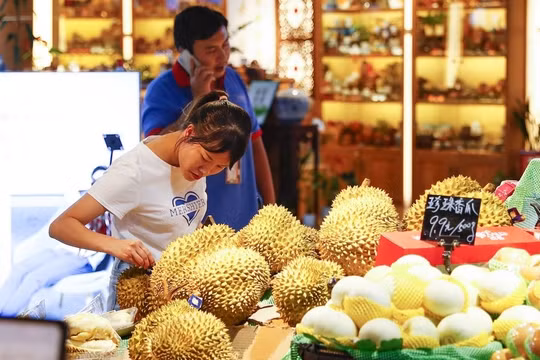 Malaysia bắt đầu xuất khẩu sầu riêng “xa xỉ” sang Trung Quốc