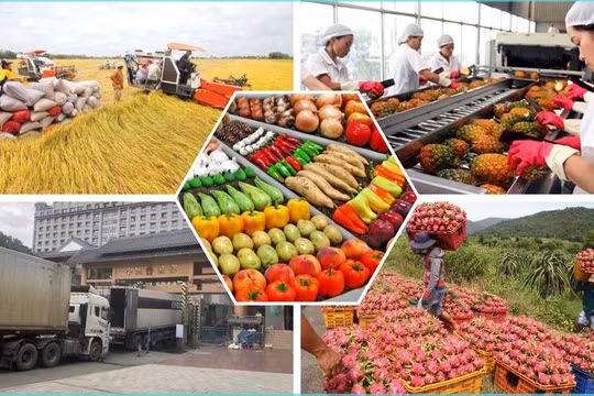 Khai thác tối đa thị trường nội địa, khơi thông hàng hóa nông sản vào thị trường Trung Quốc
