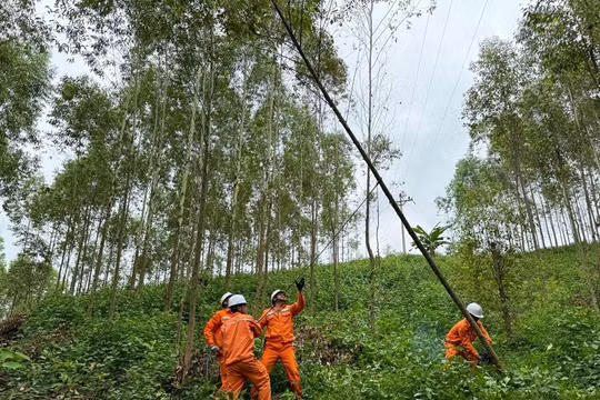 Tổng công ty Điện lực miền Bắc sẵn sàng các phương án đảm bảo cung cấp điện dịp nghỉ lễ Quốc khánh 2/9/2024