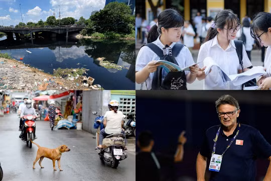 Nóng 18h: Đề xuất nuôi chó, mèo phải đăng ký với chính quyền