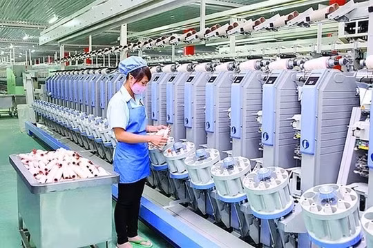 Dệt may Thành Công (TCM): Trả cổ tức 56 tỷ đồng tiền mặt, lợi nhuận 11 tháng mới đạt 93% kế hoạch