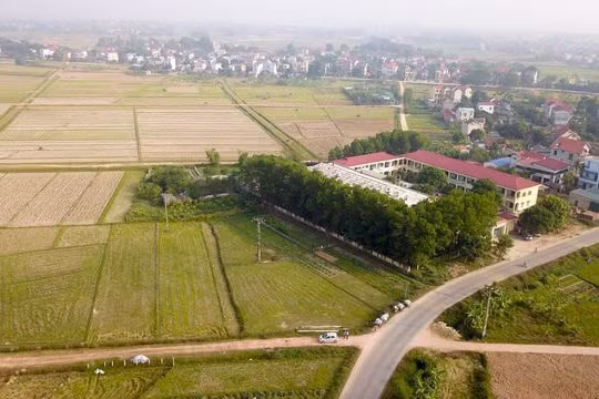 Đề xuất công khai các trường hợp trúng đấu giá đất nhưng bỏ cọc