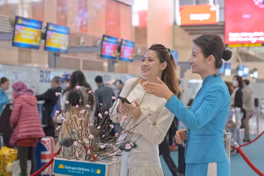 Vietnam Airlines mang đào, mai về nhà cho hành khách