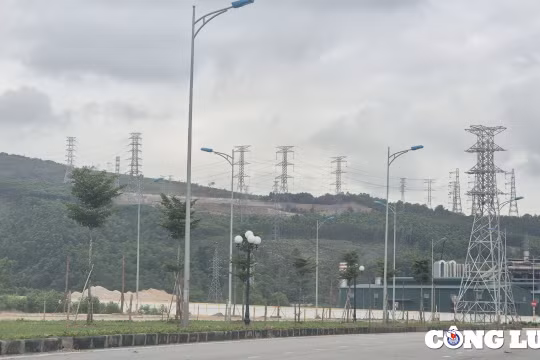 Thanh Hóa: Xác định đối tượng phá 2,61 ha rừng, yêu cầu khắc phục hơn 1,2 tỷ đồng
