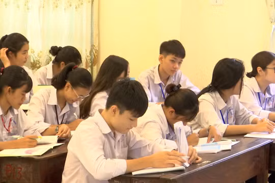 Bắc Ninh đảm bảo hoàn thành kế hoạch giáo dục năm học 2023- 2024 trước ngày 25/5