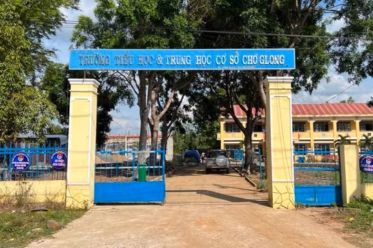 Gia Lai: Nữ kế toán giả chữ ký của hiệu trưởng, chiếm đoạt gần 1 tỷ đồng
