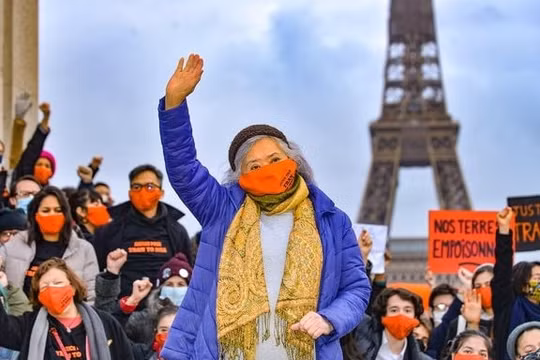 Hội Luật gia Dân chủ Quốc tế gửi thư ngỏ tới Tòa phúc thẩm Paris vụ kiện chất độc da cam của bà Trần Tố Nga