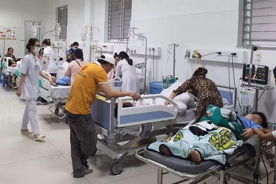 Chính phủ yêu cầu triển khai các biện pháp ngăn ngừa, xử lý ngộ độc thực phẩm