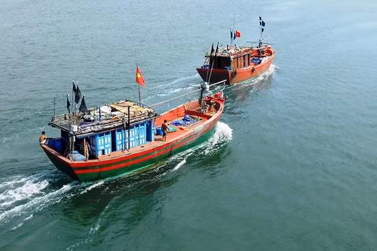 Mở đợt cao điểm tuần tra, kiểm tra, kiểm soát xử lý tàu cá '03 không' trong tháng 11/2024