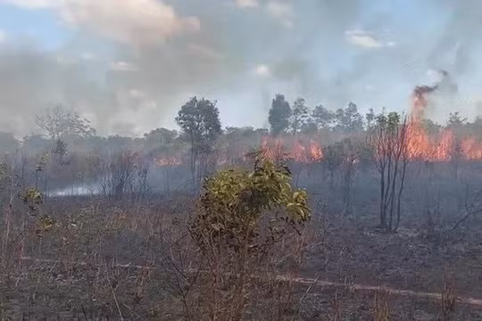 25 ha rừng trồng ở Gia Lai bị cháy rụi