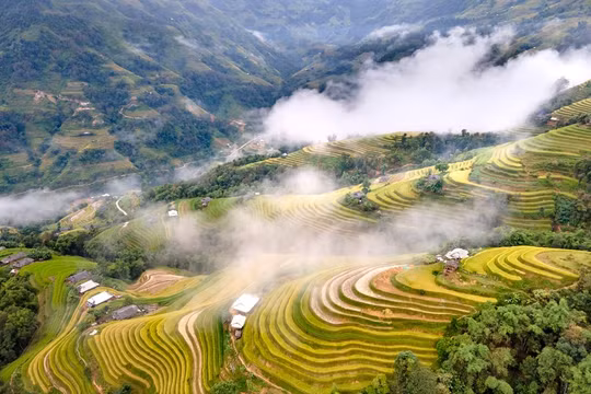 Dừng tổ chức Tuần Văn hóa du lịch 'Qua miền di sản ruộng bậc thang Hoàng Su Phì' năm 2024